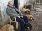 Support our Dogs